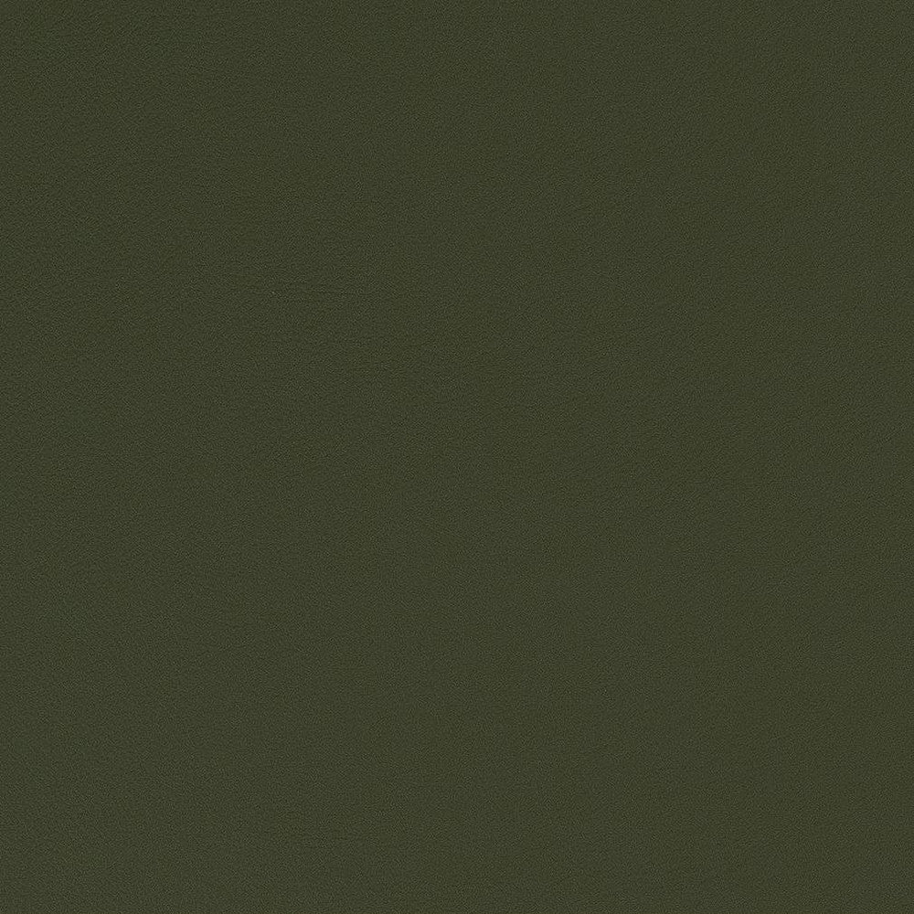 V566 Juniper by Charlotte Fabric Value Vinyls II Face: 27 oz., 100% Lead-Free Vinyl, Back: 100% Polyester Asia Exceeds 200,000 Wyzenbeek Rubs (Heavy Duty) No Repeat 54 Inches - Fabric Carolina -