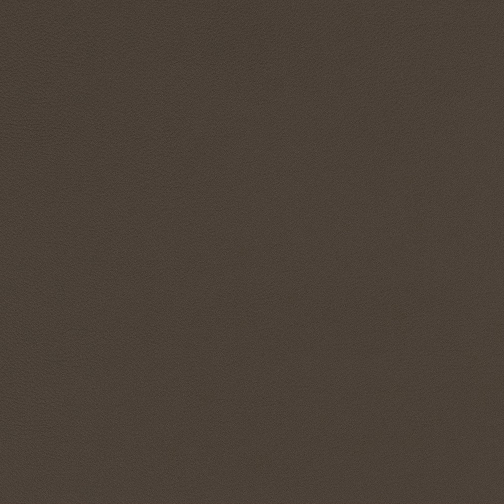 V568 Steel by Charlotte Fabric Value Vinyls II Face: 27 oz., 100% Lead-Free Vinyl, Back: 100% Polyester Asia Exceeds 200,000 Wyzenbeek Rubs (Heavy Duty) No Repeat 54 Inches - Fabric Carolina -