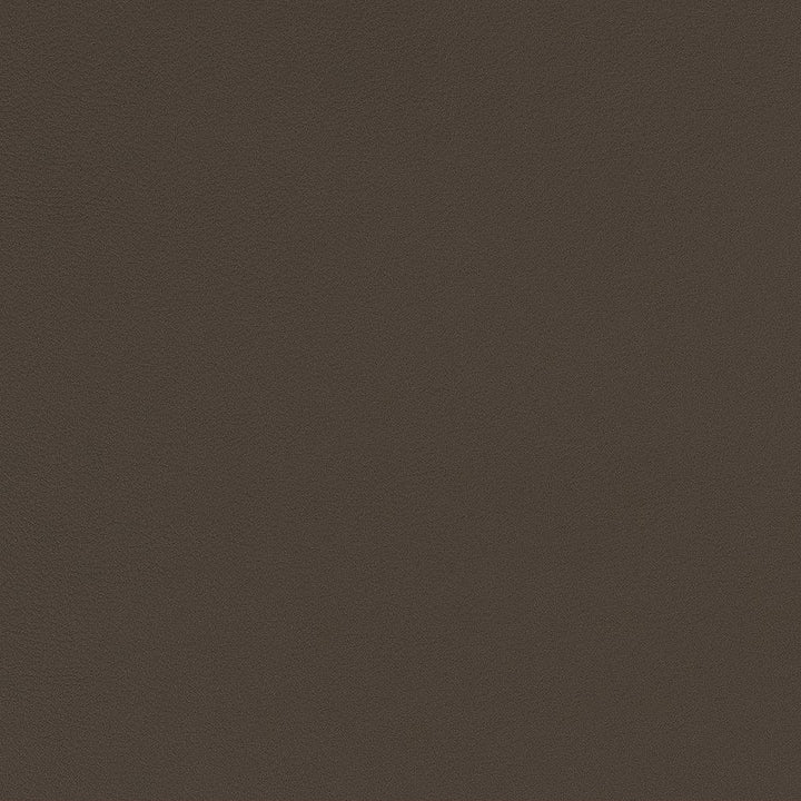 V568 Steel by Charlotte Fabric Value Vinyls II Face: 27 oz., 100% Vinyl, Back: Woven Polyester Asia Exceeds 200,000 Wyzenbeek Rubs (Heavy Duty) </p><p>Repeat: 54 Inches - Fabric Carolina -