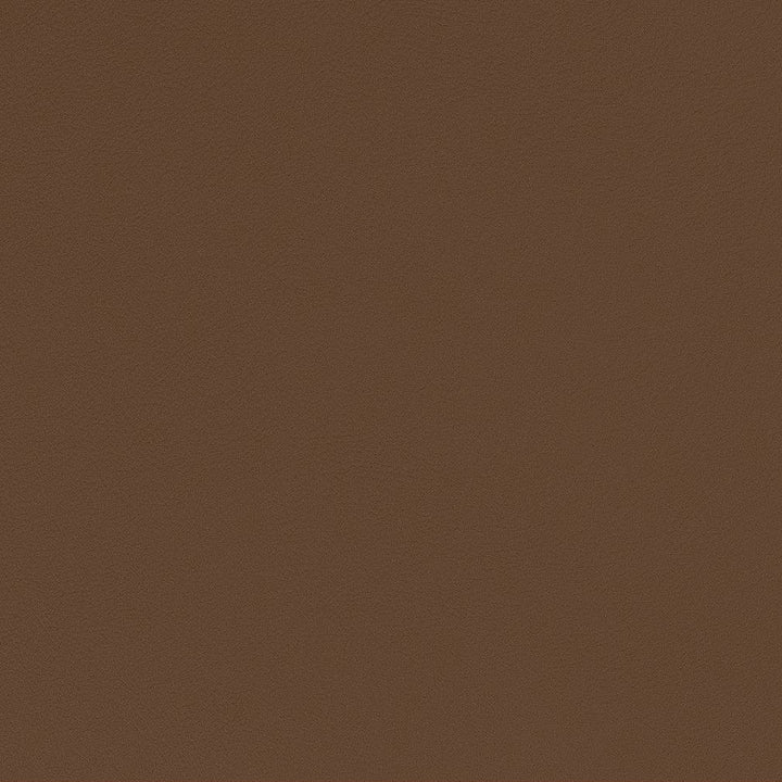 V570 Sable by Charlotte Fabric Value Vinyls II Face: 27 oz., 100% Vinyl, Back: Woven Polyester Asia Exceeds 200,000 Wyzenbeek Rubs (Heavy Duty) </p><p>Repeat: 54 Inches - Fabric Carolina -