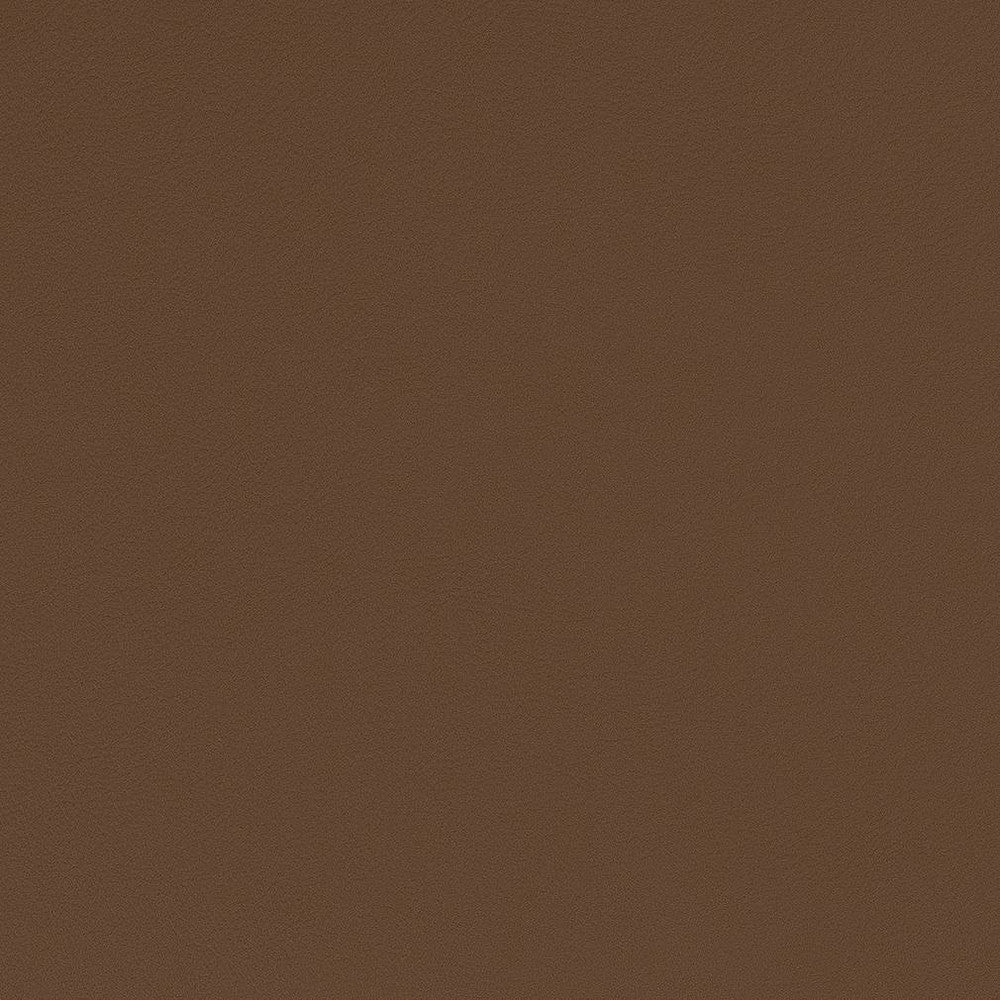 V570 Sable by Charlotte Fabric Value Vinyls II Face: 27 oz., 100% Lead-Free Vinyl, Back: 100% Polyester Asia Exceeds 200,000 Wyzenbeek Rubs (Heavy Duty) No Repeat 54 Inches - Fabric Carolina -