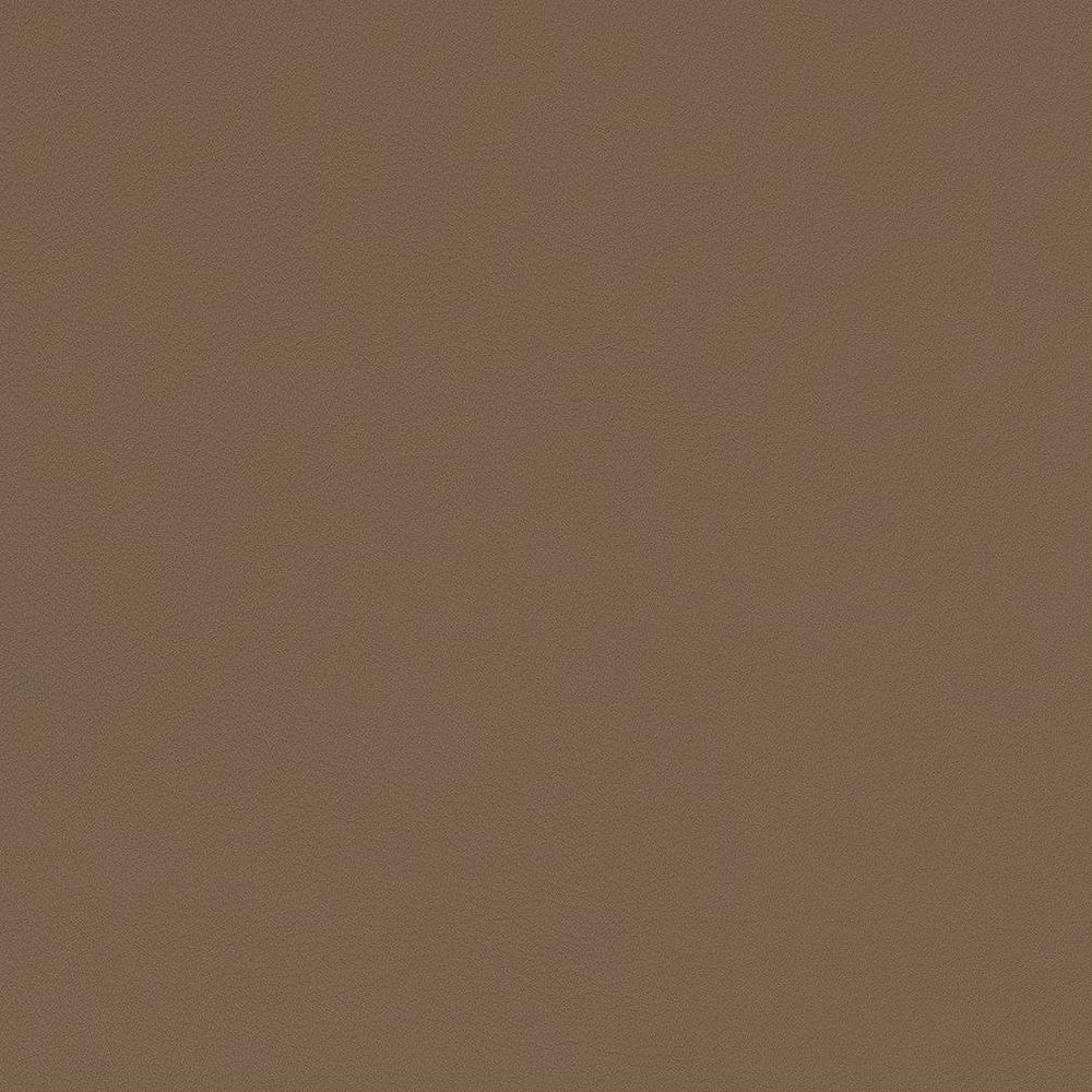 V573 Mushroom by Charlotte Fabric Value Vinyls II Face: 27 oz., 100% Lead-Free Vinyl, Back: 100% Polyester Asia Exceeds 200,000 Wyzenbeek Rubs (Heavy Duty) No Repeat 54 Inches - Fabric Carolina -