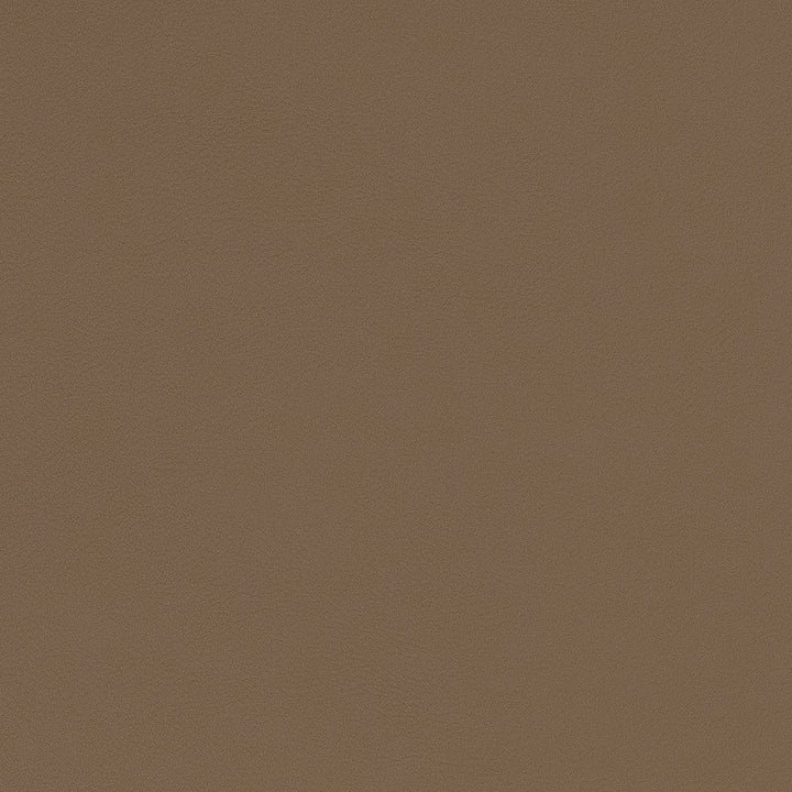 V573 Mushroom by Charlotte Fabric Value Vinyls II Face: 27 oz., 100% Lead-Free Vinyl, Back: 100% Polyester Asia Exceeds 200,000 Wyzenbeek Rubs (Heavy Duty) No Repeat 54 Inches - Fabric Carolina -