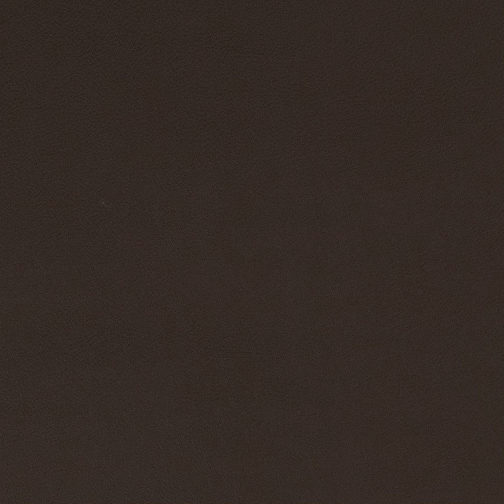 V574 Espresso by Charlotte Fabric Value Vinyls II Face: 27 oz., 100% Vinyl, Back: Woven Polyester Asia Exceeds 200,000 Wyzenbeek Rubs (Heavy Duty) </p><p>Repeat: 54 Inches - Fabric Carolina -