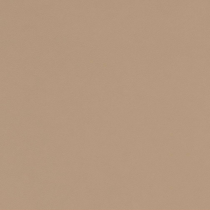 V575 Buff by Charlotte Fabric Value Vinyls II Face: 27 oz., 100% Lead-Free Vinyl, Back: 100% Polyester Asia Exceeds 200,000 Wyzenbeek Rubs (Heavy Duty) No Repeat 54 Inches - Fabric Carolina -