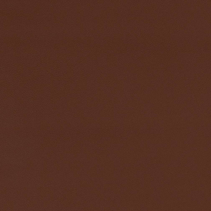 V577 Redwood by Charlotte Fabric Value Vinyls II Face: 27 oz., 100% Lead-Free Vinyl, Back: 100% Polyester Asia Exceeds 200,000 Wyzenbeek Rubs (Heavy Duty) No Repeat 54 Inches - Fabric Carolina -