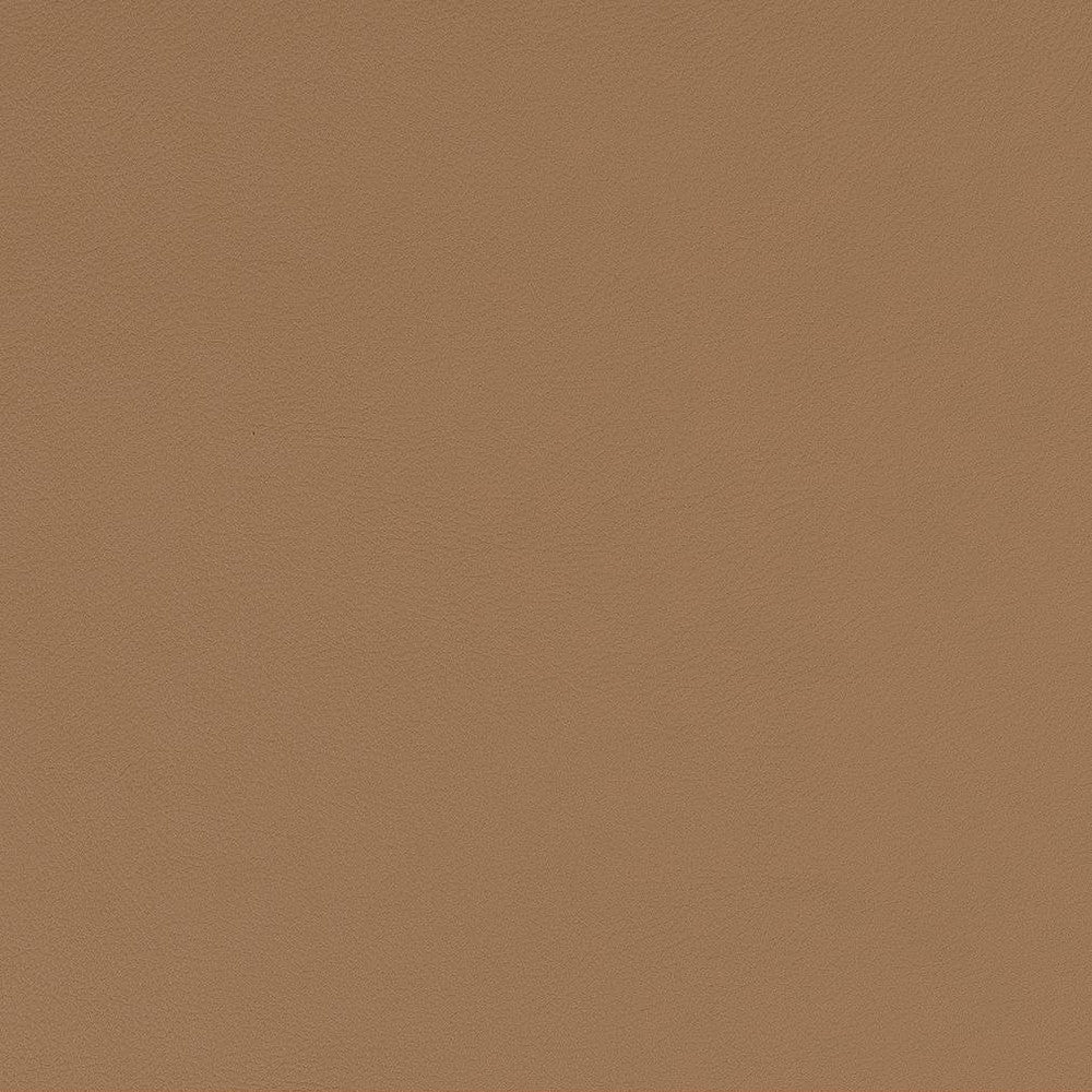 V578 Toast by Charlotte Fabric Value Vinyls II Face: 27 oz., 100% Vinyl, Back: Woven Polyester Asia Exceeds 200,000 Wyzenbeek Rubs (Heavy Duty) </p><p>Repeat: 54 Inches - Fabric Carolina -
