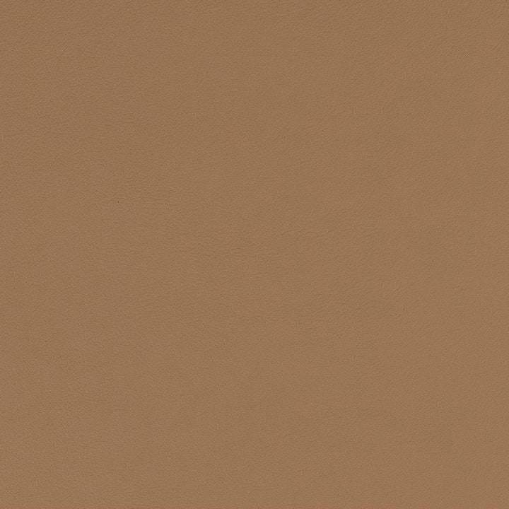 V578 Toast by Charlotte Fabric Value Vinyls II Face: 27 oz., 100% Vinyl, Back: Woven Polyester Asia Exceeds 200,000 Wyzenbeek Rubs (Heavy Duty) </p><p>Repeat: 54 Inches - Fabric Carolina -