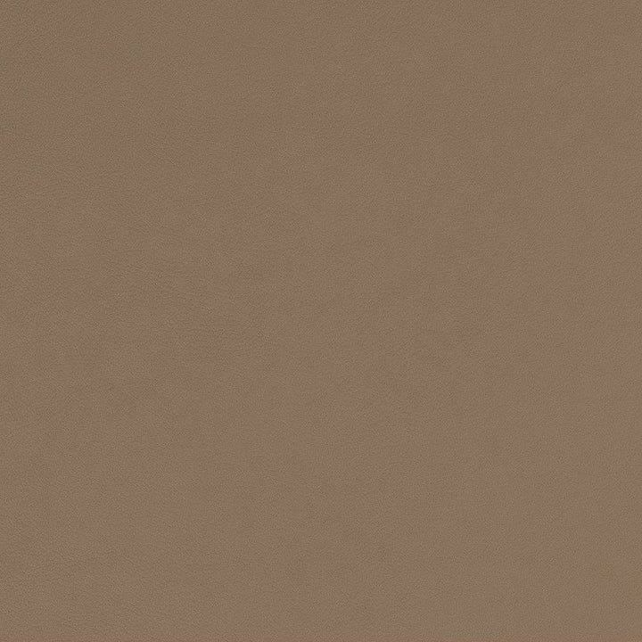V580 Driftwood by Charlotte Fabric Value Vinyls II Face: 27 oz., 100% Lead-Free Vinyl, Back: 100% Polyester Asia Exceeds 200,000 Wyzenbeek Rubs (Heavy Duty) No Repeat 54 Inches - Fabric Carolina -