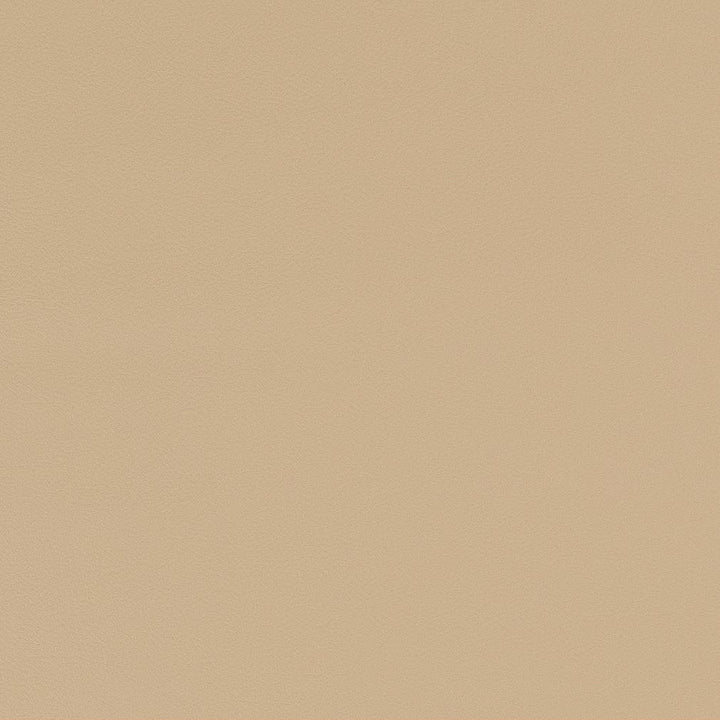 V581 Sand by Charlotte Fabric Value Vinyls II Face: 27 oz., 100% Lead-Free Vinyl, Back: 100% Polyester Asia Exceeds 200,000 Wyzenbeek Rubs (Heavy Duty) No Repeat 54 Inches - Fabric Carolina -