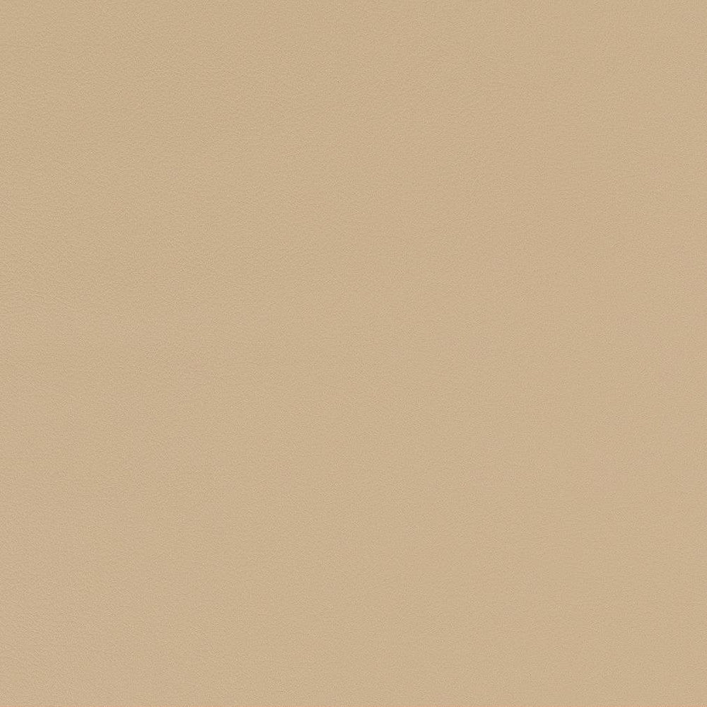 V581 Sand by Charlotte Fabric Value Vinyls II Face: 27 oz., 100% Vinyl, Back: Woven Polyester Asia Exceeds 200,000 Wyzenbeek Rubs (Heavy Duty) </p><p>Repeat: 54 Inches - Fabric Carolina -