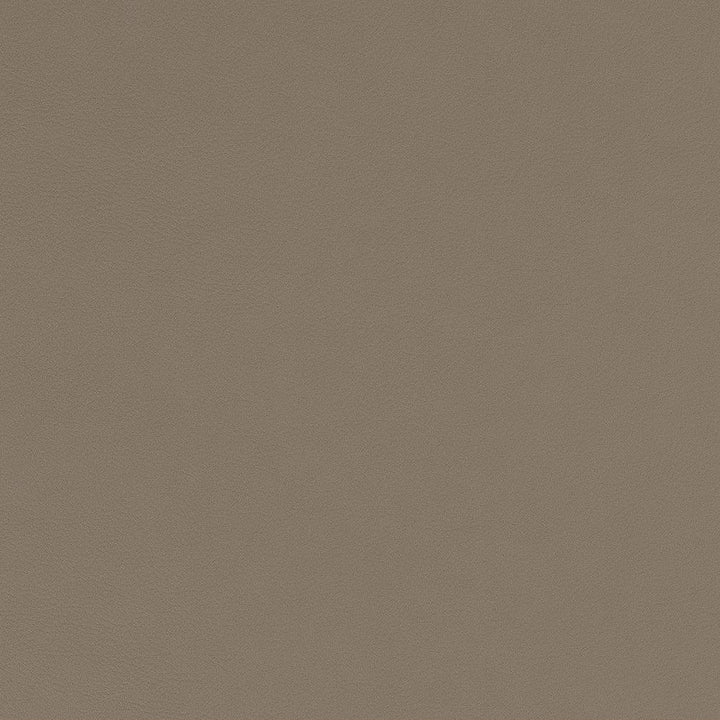 V583 Dove by Charlotte Fabric Value Vinyls II Face: 27 oz., 100% Vinyl, Back: Woven Polyester Asia Exceeds 200,000 Wyzenbeek Rubs (Heavy Duty) </p><p>Repeat: 54 Inches - Fabric Carolina -