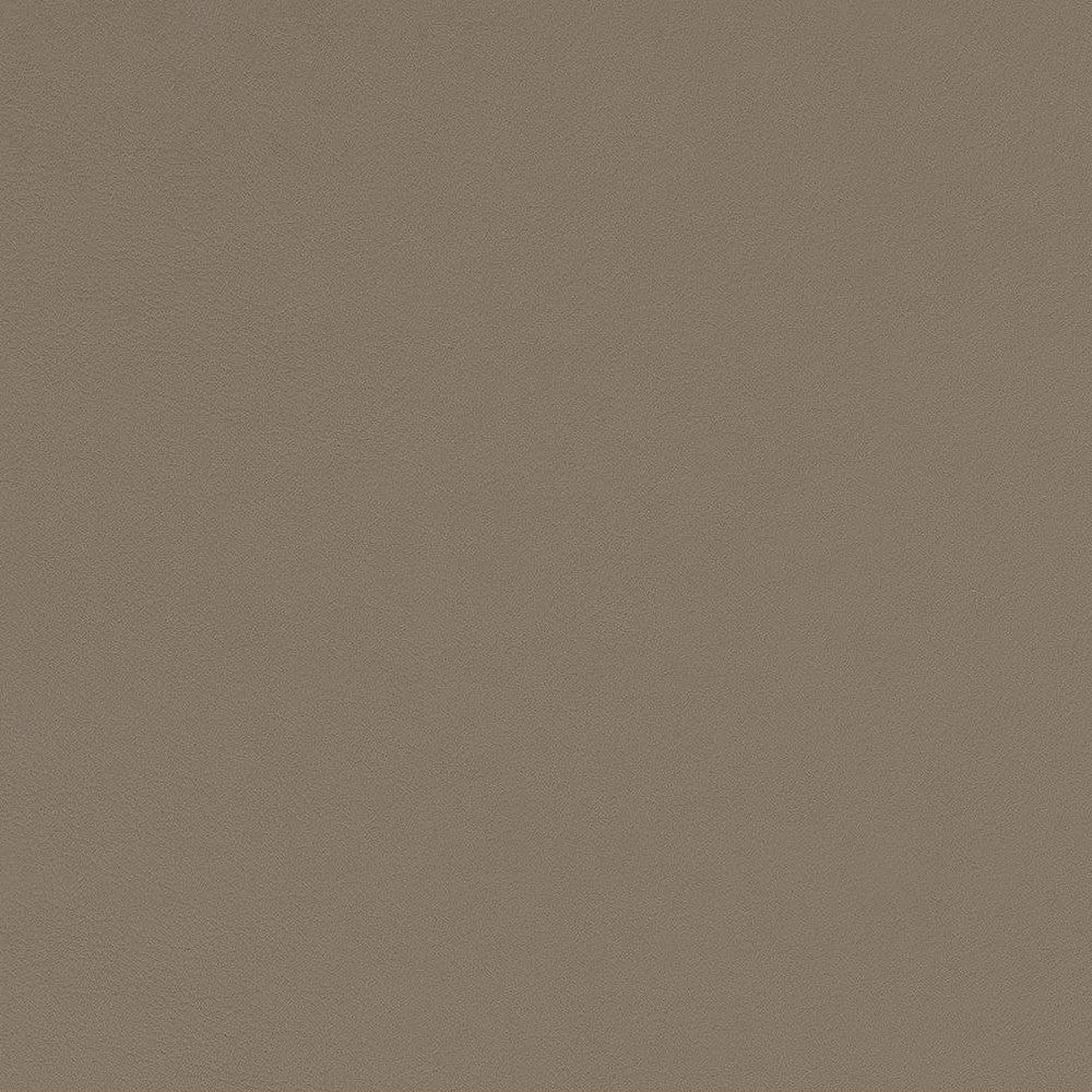 V583 Dove by Charlotte Fabric Value Vinyls II Face: 27 oz., 100% Lead-Free Vinyl, Back: 100% Polyester Asia Exceeds 200,000 Wyzenbeek Rubs (Heavy Duty) No Repeat 54 Inches - Fabric Carolina -