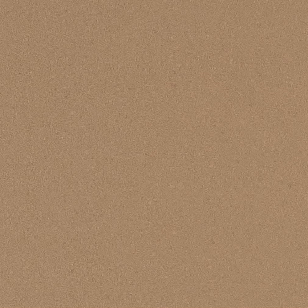 V584 Beach by Charlotte Fabric Value Vinyls II Face: 27 oz., 100% Lead-Free Vinyl, Back: 100% Polyester Asia Exceeds 200,000 Wyzenbeek Rubs (Heavy Duty) No Repeat 54 Inches - Fabric Carolina -