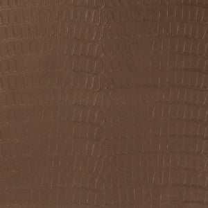 V591 Chocolate by Charlotte Fabric