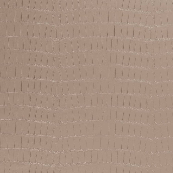 V593 Mousse by Charlotte Fabric Exotics II 100% Vinyl Asia Exceeds 200,000 Wyzenbeek Rubs (Heavy Duty) </p><p>Repeat: Horizontal: 8" 54 Inches - Fabric Carolina -