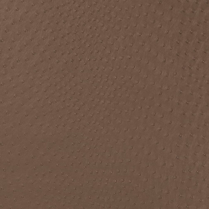 V594 Mink by Charlotte Fabric Exotics II 100% Vinyl Asia Exceeds 200,000 Wyzenbeek Rubs (Heavy Duty) </p><p>Repeat: No Repeat 54 Inches - Fabric Carolina -