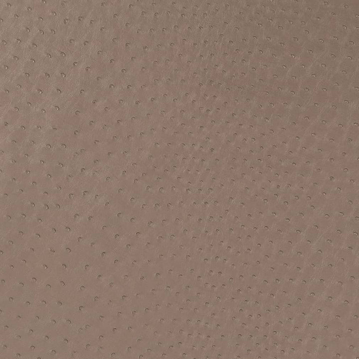V595 Mocha by Charlotte Fabric Exotics II 100% Vinyl Asia Exceeds 200,000 Wyzenbeek Rubs (Heavy Duty) </p><p>Repeat: 54 Inches - Fabric Carolina -
