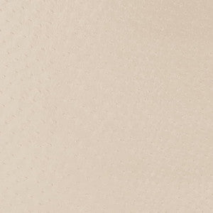 V596 Parchment by Charlotte Fabric