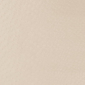 V596 Parchment by Charlotte Fabric