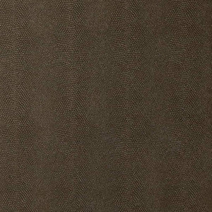V597 Raven by Charlotte Fabric
