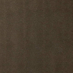 V597 Raven by Charlotte Fabric