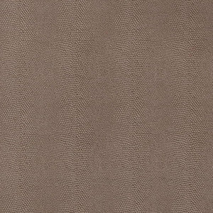 V598 Hazelnut by Charlotte Fabric