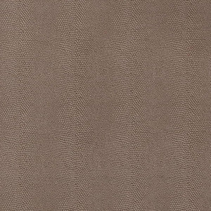V598 Hazelnut by Charlotte Fabric