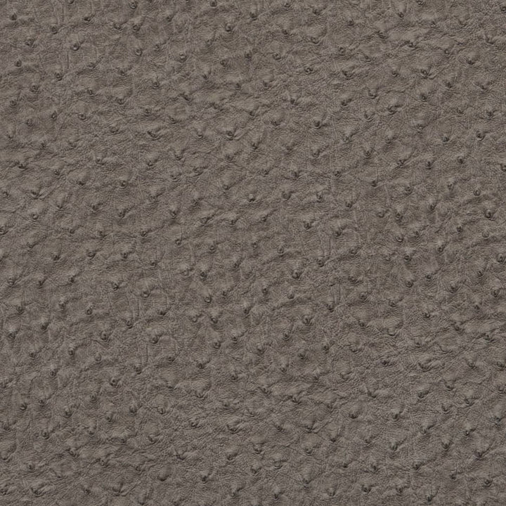 V617 Pewter by Charlotte Fabric Exotics II 100% Polyurethane (Pvc/Lead Free), 34oz. Asia Exceeds 200,000 Wyzenbeek Rubs (Heavy Duty) </p><p>Repeat: No Repeat 54 Inches - Fabric Carolina -