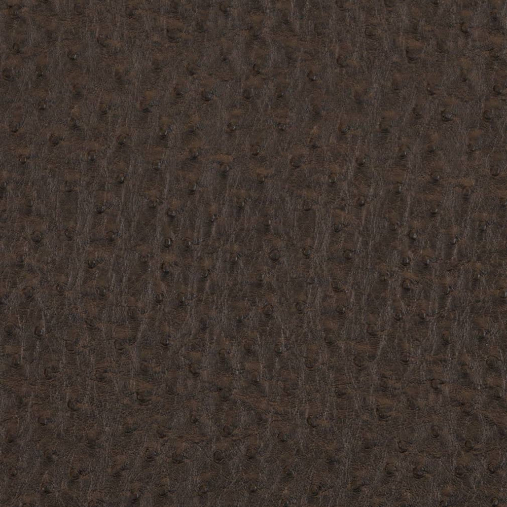 V619 Bark by Charlotte Fabric Exotics II 100% Vinyl, 34oz. Asia Exceeds 200,000 Wyzenbeek Rubs (Heavy Duty) </p><p>Repeat: No Repeat 54 Inches - Fabric Carolina -