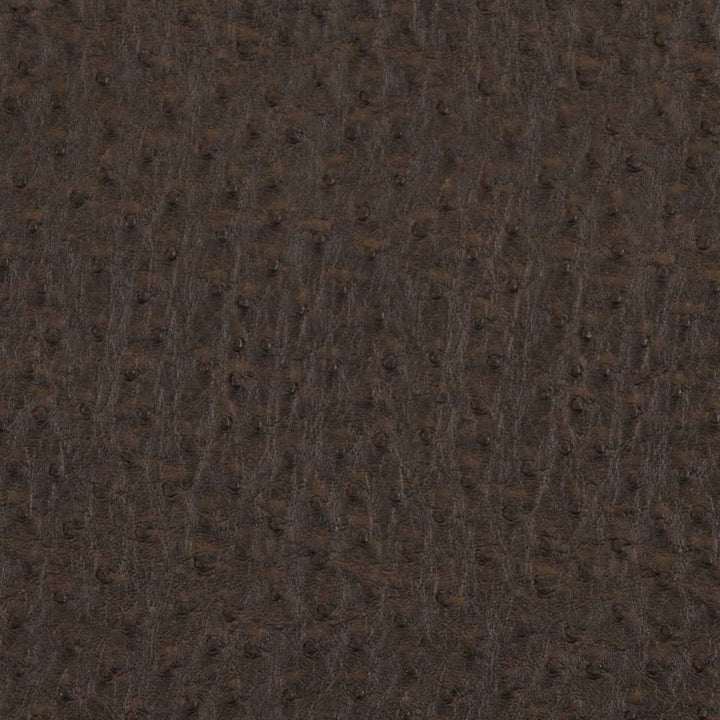 V619 Bark by Charlotte Fabric Exotics II 100% Vinyl, 34oz. Asia Exceeds 200,000 Wyzenbeek Rubs (Heavy Duty) </p><p>Repeat: 54 Inches - Fabric Carolina -