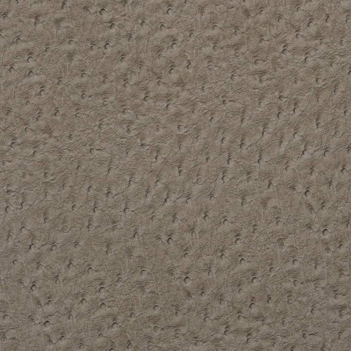 V622 Pewter by Charlotte Fabric Exotics II 100% Vinyl, 34oz. Asia Exceeds 200,000 Wyzenbeek Rubs (Heavy Duty) </p><p>Repeat: No Repeat 54 Inches - Fabric Carolina -