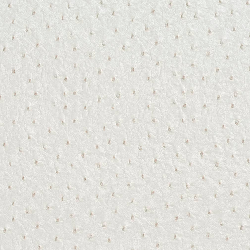V623 Cream by Charlotte Fabric Exotics II 100% Vinyl, 34oz. Asia Exceeds 200,000 Wyzenbeek Rubs (Heavy Duty) </p><p>Repeat: 54 Inches - Fabric Carolina -
