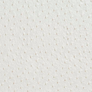 V623 Cream by Charlotte Fabric