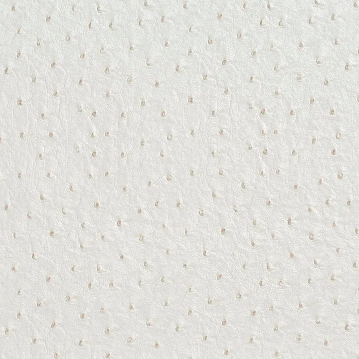 V623 Cream by Charlotte Fabric Exotics II 100% Vinyl, 34oz. Asia Exceeds 200,000 Wyzenbeek Rubs (Heavy Duty) </p><p>Repeat: No Repeat 54 Inches - Fabric Carolina -