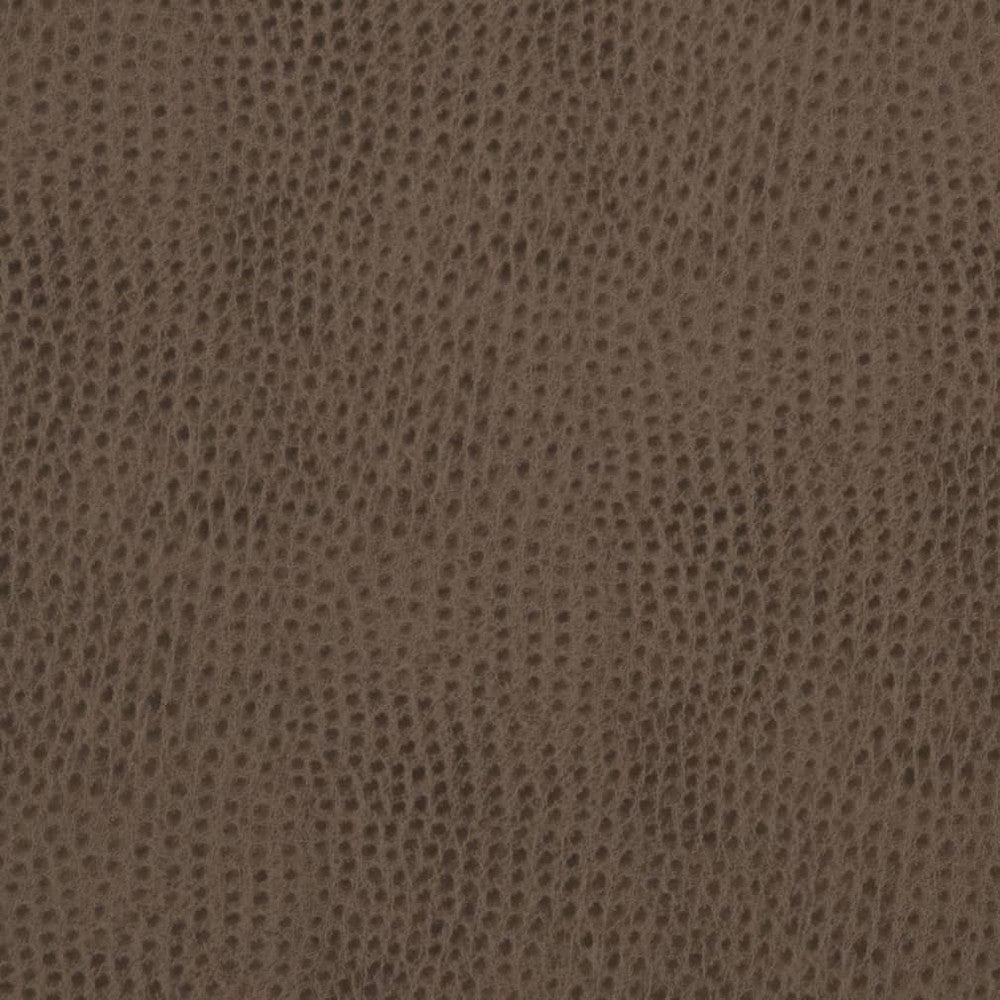 V624 Cobblestone by Charlotte Fabric Exotics II 100% Vinyl, 34oz. Asia Exceeds 200,000 Wyzenbeek Rubs (Heavy Duty) </p><p>Repeat: No Repeat 54 Inches - Fabric Carolina -