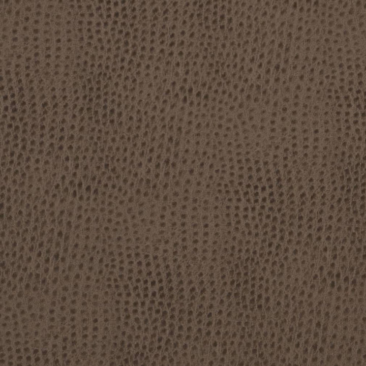 V624 Cobblestone by Charlotte Fabric Exotics II 100% Vinyl, 34oz. Asia Exceeds 200,000 Wyzenbeek Rubs (Heavy Duty) </p><p>Repeat: No Repeat 54 Inches - Fabric Carolina -
