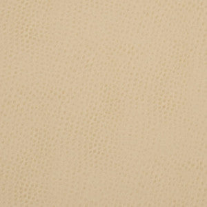 V626 Parchment by Charlotte Fabric