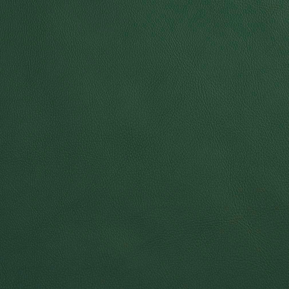 V639 Spruce by Charlotte Fabric Ultrahyde Pro Face: Vinyl/Polyurethane, Back: Polyester Microsuede, 29oz. Asia Exceeds 2,000,000 Wyzenbeek Double Rubs (Heavy Duty) </p><p>Repeat: No Repeat 54 Inches - Fabric Carolina -