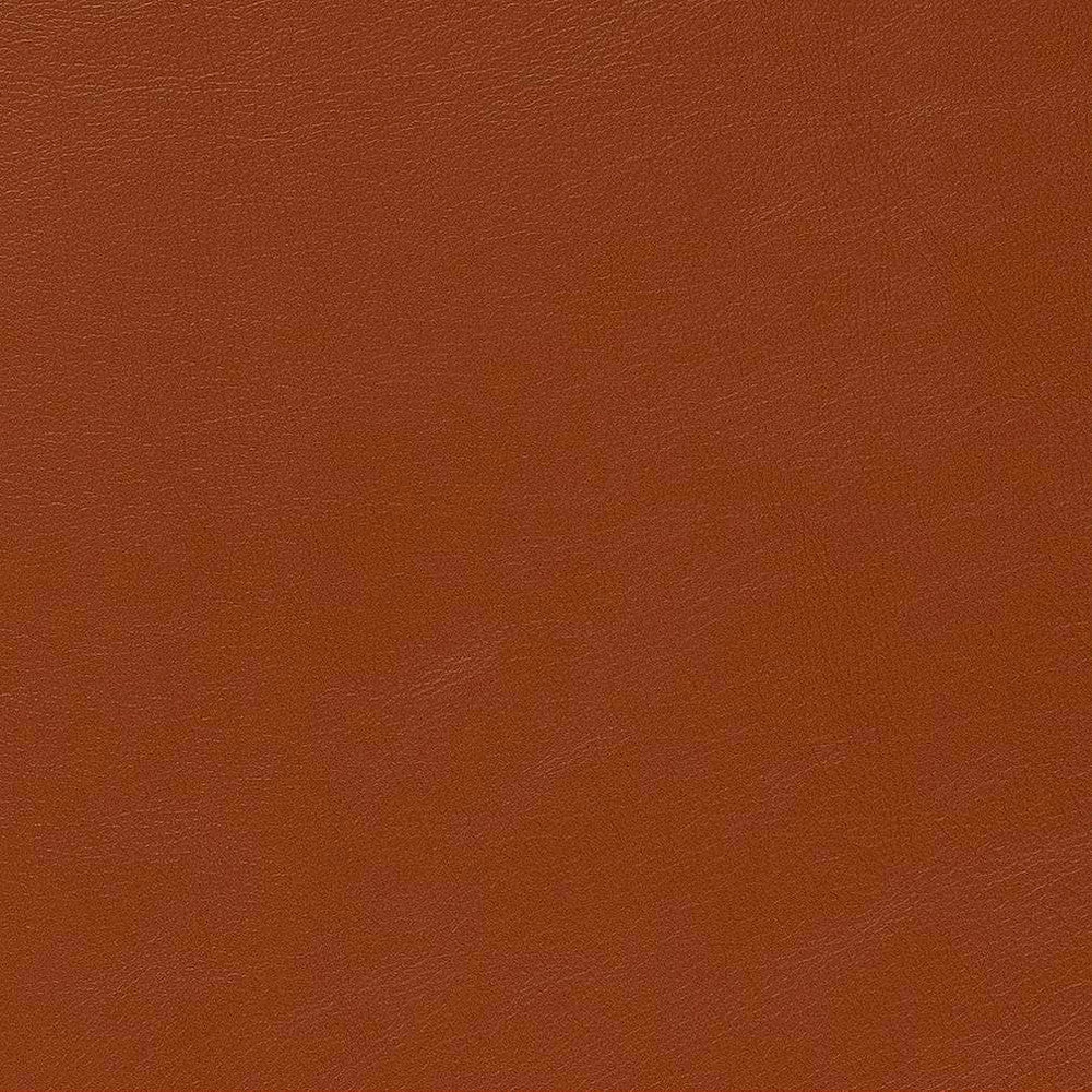 V643 Saddle by Charlotte Fabric Ultrahyde Pro Face: Vinyl/Polyurethane, Back: Polyester Microsuede, 29oz. Asia Exceeds 2,000,000 Wyzenbeek Double Rubs (Heavy Duty) </p><p>Repeat: No Repeat 54 Inches - Fabric Carolina -