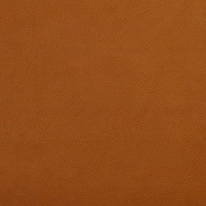 V644 Palomino by Charlotte Fabric