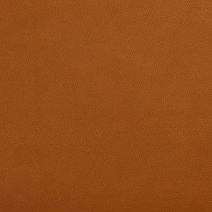 V644 Palomino by Charlotte Fabric