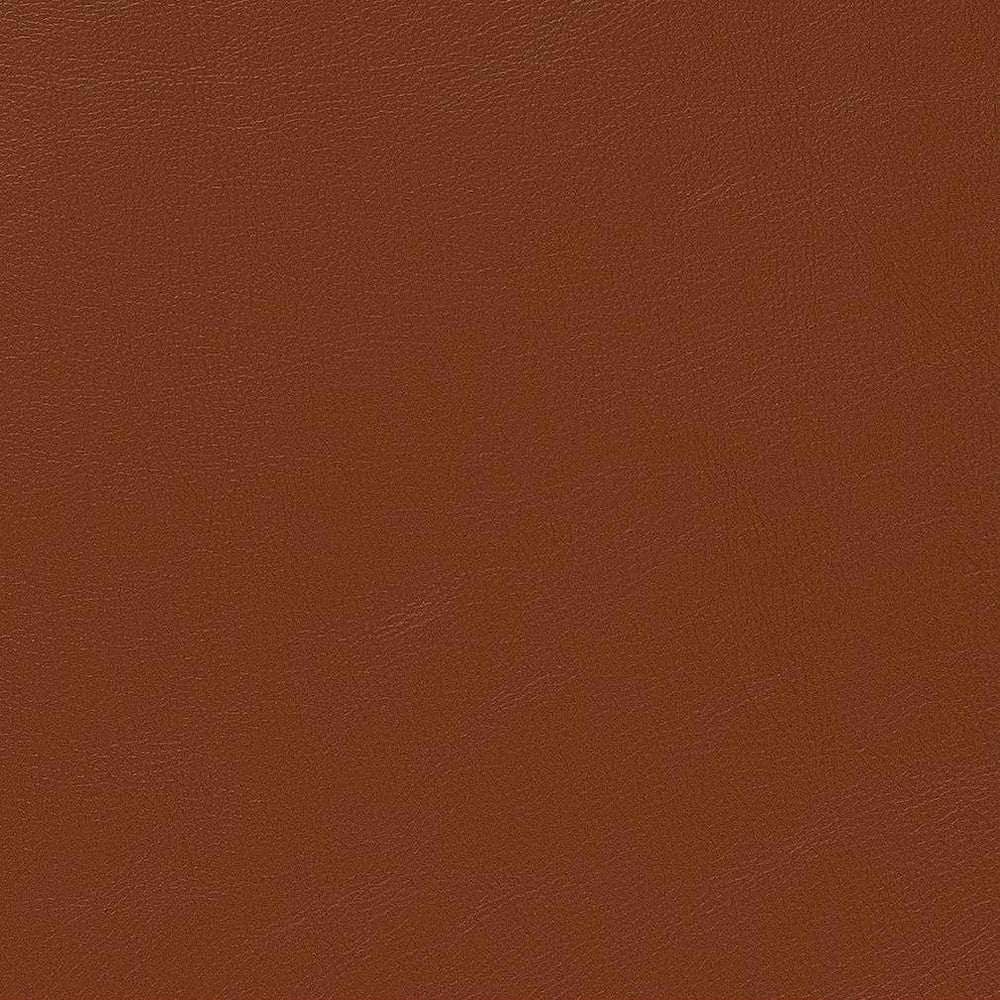 V646 Adobe by Charlotte Fabric Ultrahyde Pro Face: Vinyl/Polyurethane, Back: Polyester Microsuede, 29oz. Asia Exceeds 2,000,000 Wyzenbeek Double Rubs (Heavy Duty) </p><p>Repeat: 54 Inches - Fabric Carolina -