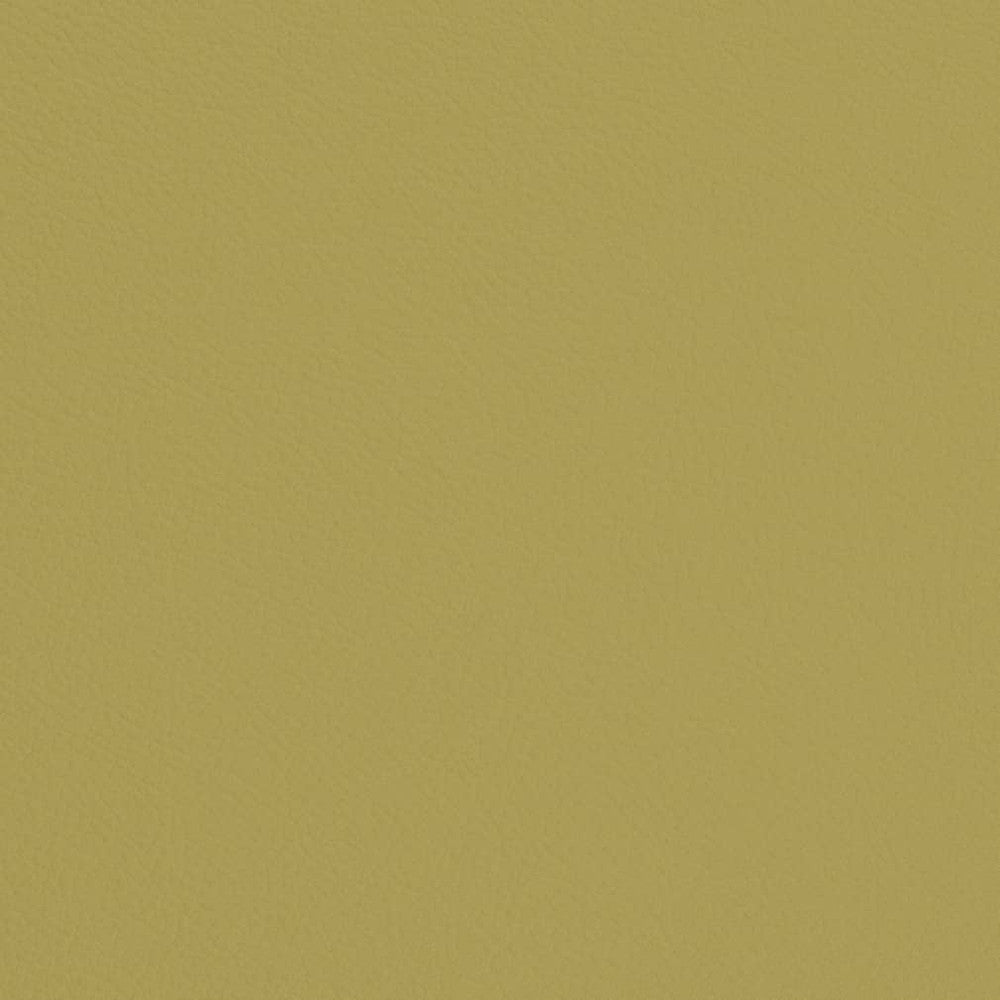 V668 Pear by Charlotte Fabric Defender Face: 100% PVC, Back: Polyester knit backing, 28oz Thailand Exceeds 2,000,000 Wyzenbeek Double Rubs (Heavy Duty) </p><p>Repeat: No Repeat 54 Inches - Fabric Carolina -