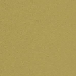 V668 Pear by Charlotte Fabric