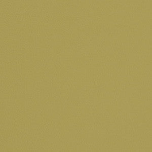 V668 Pear by Charlotte Fabric