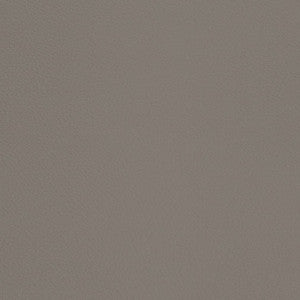 V669 Pewter by Charlotte Fabric