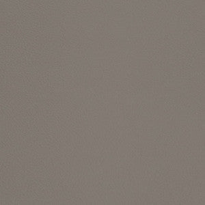 V669 Pewter by Charlotte Fabric