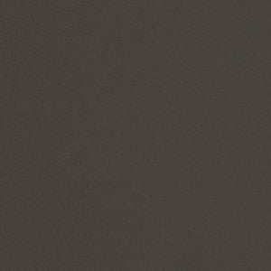 V681 Iron by Charlotte Fabric