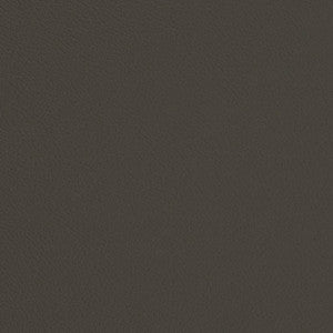 V681 Iron by Charlotte Fabric